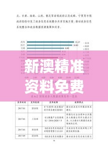 新澳精准资料免费提供325期,实地数据评估计划_RHJ7.78.65标准版