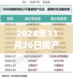 2024年房产过户最新政策解读与热议，小红书上的深度探讨