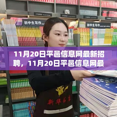 11月20日平邑信息网最新招聘，11月20日平邑信息网最新招聘产品全面评测与介绍