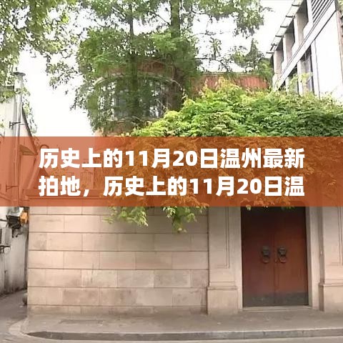 揭秘历史上的11月20日温州土地拍卖盛典，开启城市发展新篇章