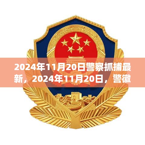 警徽闪耀下的自我超越之旅，抓捕行动与成长之路的见证