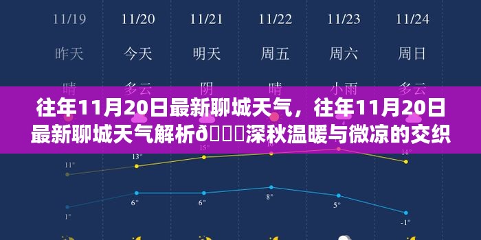 往年11月20日聊城天气解析，深秋温暖与微凉的交织时光回顾