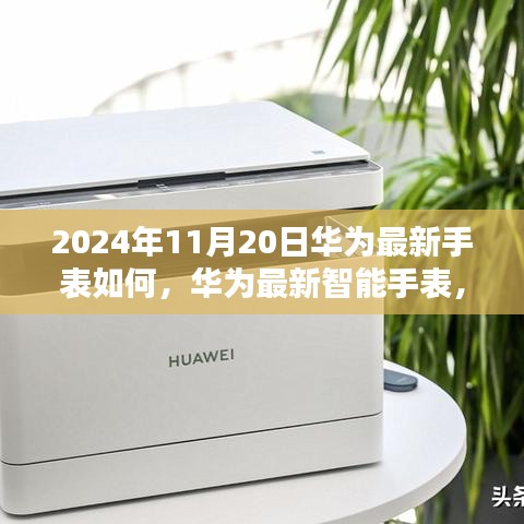 华为最新智能手表前沿体验，2024年11月20日的科技探索与评测