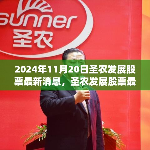 圣农发展股票最新动态报告，深度解析与评测