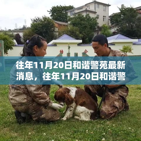 往年11月20日和谐警苑最新消息全面解析与介绍