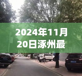 探秘涿州小巷深处的独特风味，揭秘秘境之旅与最新限号信息