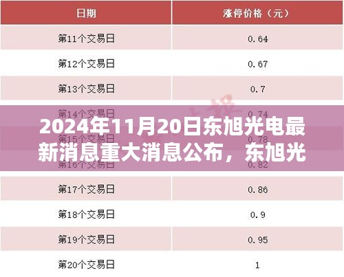 东旭光电2024年11月20日重大消息公布，新篇章开启，友情之光照亮十一月