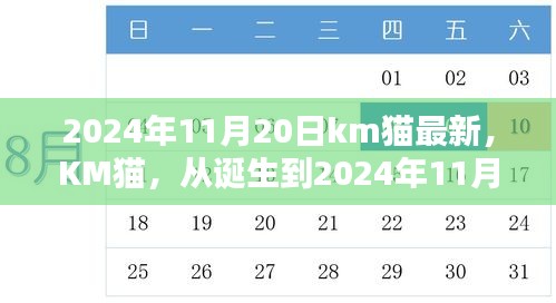 KM猫，从诞生到2024年11月20日的历程与影响力