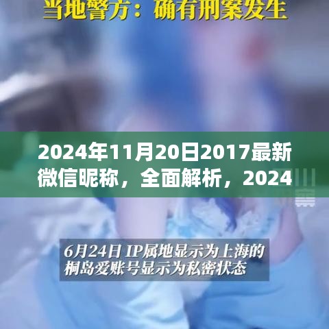 2024年最新微信昵称全面解析与使用体验分享