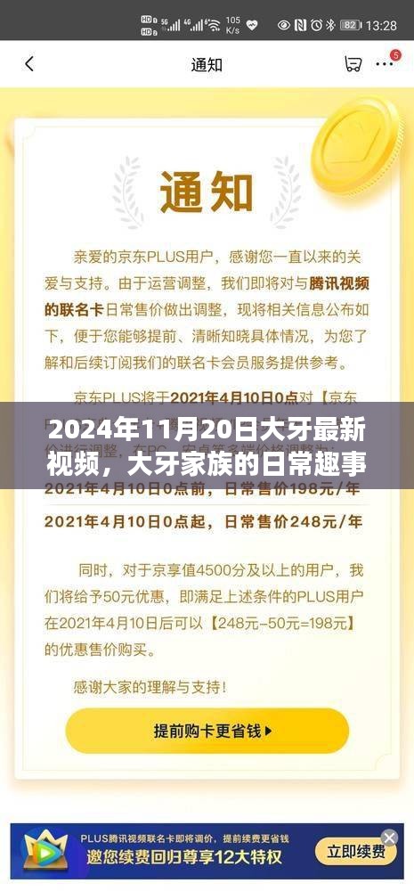 大牙家族日常趣事，友情、家庭与爱的传递（最新视频 2024年11月20日）