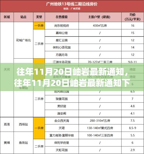 往年11月20日岫岩最新通知深度解读与观点分析