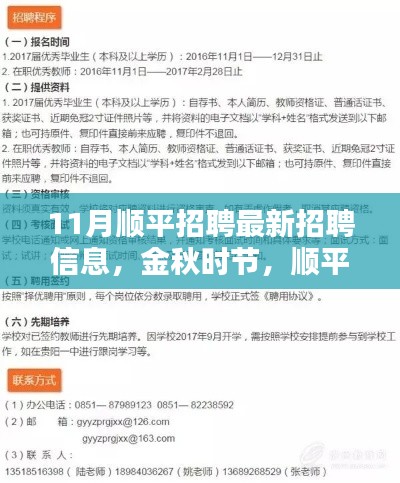 11月顺平招聘最新招聘信息，金秋时节，顺平招聘掀起新篇章——最新招聘信息深度解析