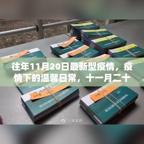 疫情下的特殊记忆，温馨日常与十一月二十日的印记