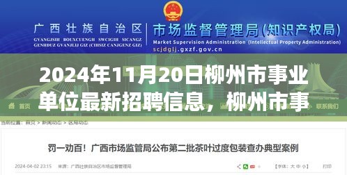 柳州市事业单位未来科技招聘启航，最新招聘信息及招聘平台体验报告