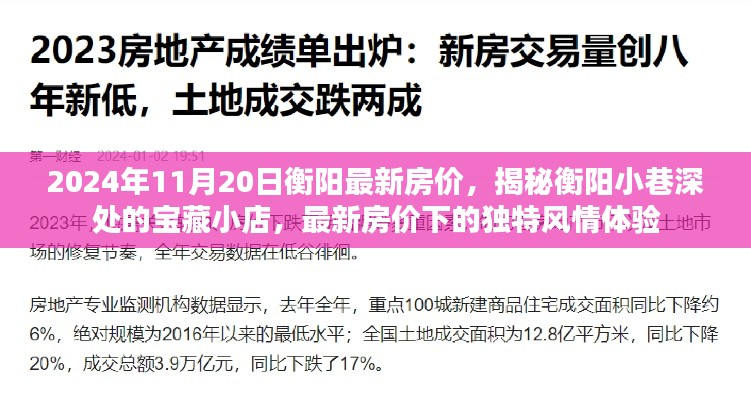 揭秘衡阳最新房价与小巷深处的宝藏小店风情体验（2024年11月20日）