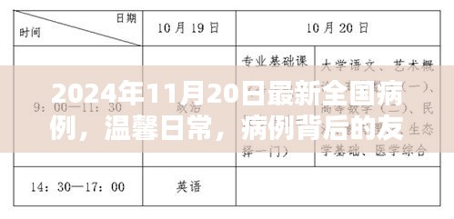 2024年11月20日最新全国病例，温馨日常，病例背后的友情与爱的传递