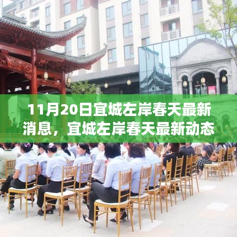 宜城左岸春天最新动态，深度解读11月20日最新消息