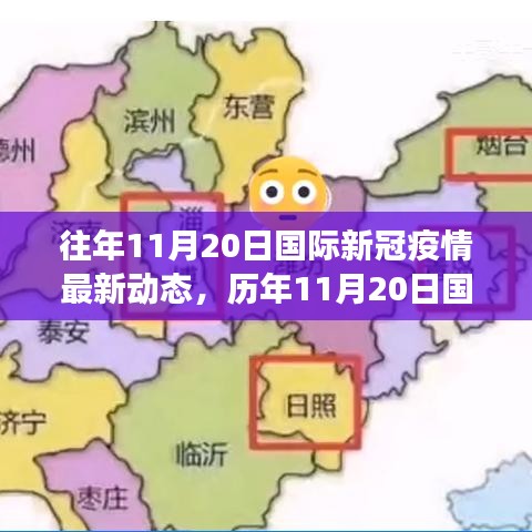 往年11月20日国际新冠疫情最新动态，历年11月20日国际新冠疫情的演变与影响