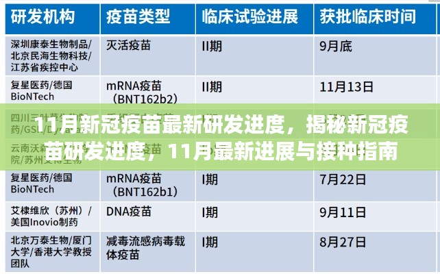 揭秘新冠疫苗研发进度，最新进展与接种指南（11月版）