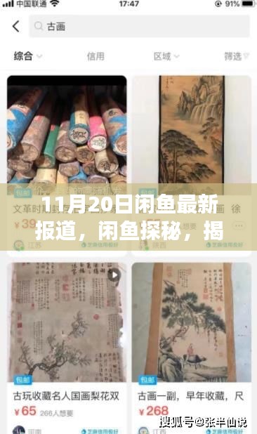 闲鱼探秘，揭秘小巷深处的独特小店，最新报道（11月20日）