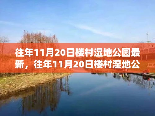 往年11月20日楼村湿地公园深度评测，自然体验与竞品对比全解析