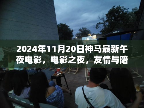 友情与陪伴的温馨时光，最新午夜电影之夜（2024年11月20日）