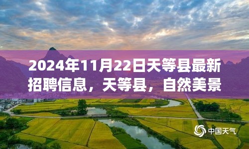 2024年11月22日天等县最新招聘信息，天等县，自然美景中的职业新篇章，启程寻找内心的宁静与热情