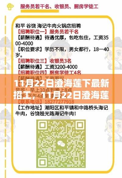 11月22日澄海莲下最新招工，11月22日澄海莲下新招工启幕，学习变化，拥抱未来，成就更好的自己！