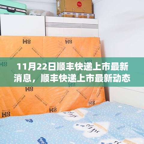 顺丰快递上市最新动态深度解析，产品特性、用户体验与市场竞争力评估报告发布