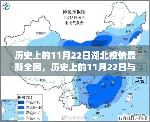 历史上的11月22日湖北疫情与全国态势下的多元观点探讨