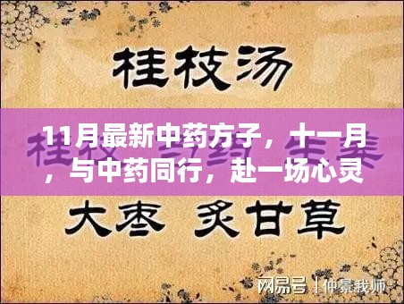 中药心灵之旅，十一月最新药方与静谧之旅的相遇