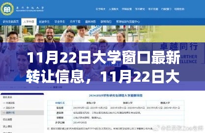 揭秘大学窗口转让信息，背景进展及其深远影响