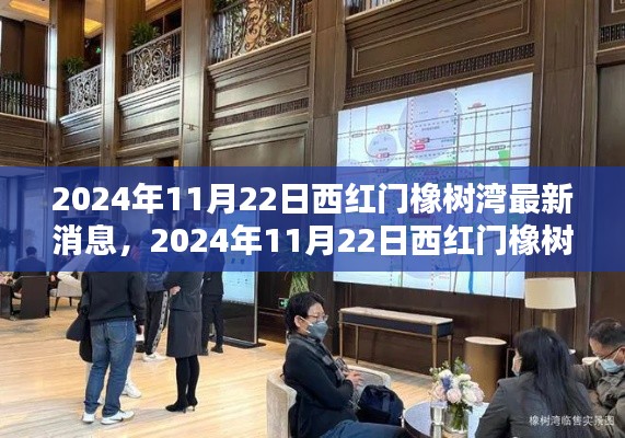 2024年11月22日西红门橡树湾最新动态与消息发布