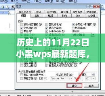 揭秘历史上的11月22日小黑WPS最新题库更新动态