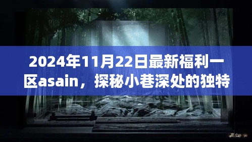 2024年11月22日最新福利一区asain，探秘小巷深处的独特风味，2024年11月22日最新福利一区asain特色小店之旅