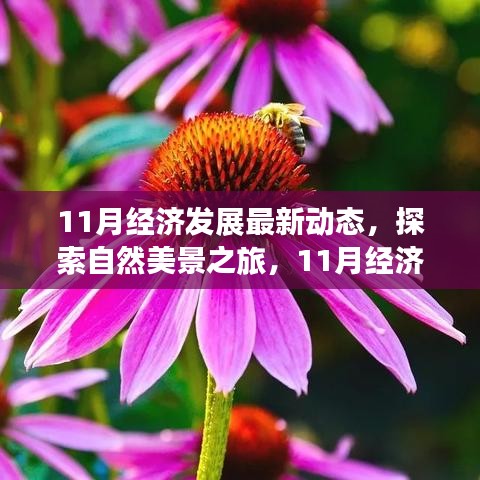 11月经济发展新动态与探索自然美景之旅，内心平和与宁静的启程