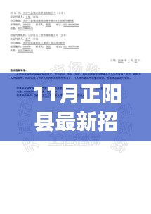 11月正阳县招标公告概览及要点解读