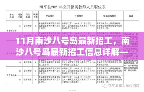 南沙八号岛最新招工信息详解，职场新机遇与挑战，南沙就业新选择