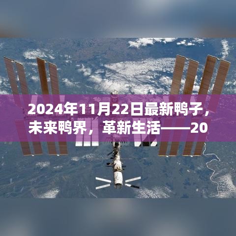 革新鸭界，智能鸭子体验报告，未来鸭界展望（2024年最新）