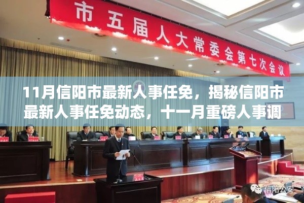 揭秘信阳市最新人事任免动态，十一月人事调整重磅出炉