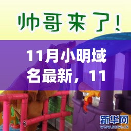 揭秘域名变革，小明域名最新动态与未来发展展望（11月更新）