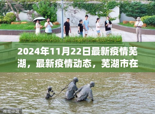 芜湖市最新疫情动态及应对措施，2024年11月22日报道