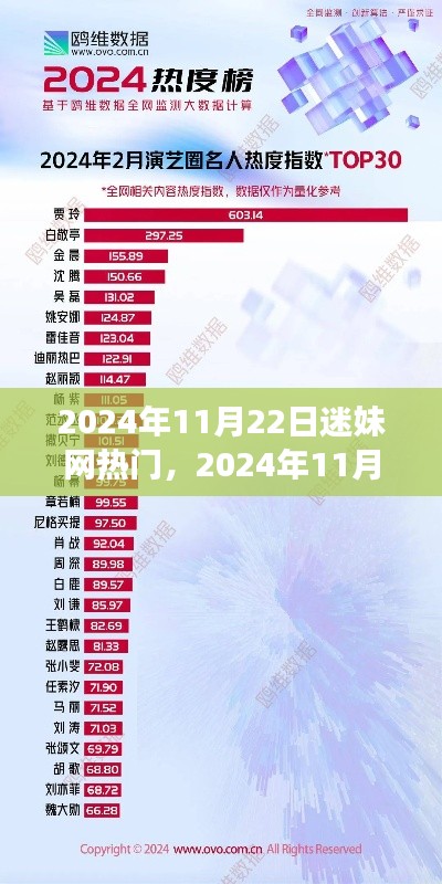 迷妹网热潮背后的故事，揭秘2024年11月22日的热门现象