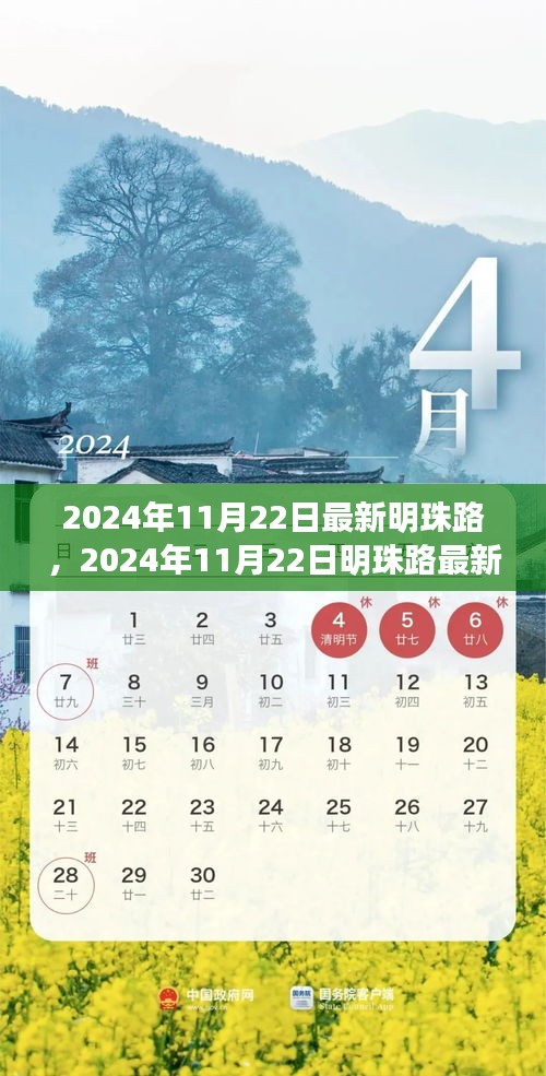 明珠路最新发展概览，2024年11月22日最新进展