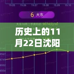 历史上的11月22日沈阳房价变迁，最新数据与趋势洞察揭秘房价变迁内幕！