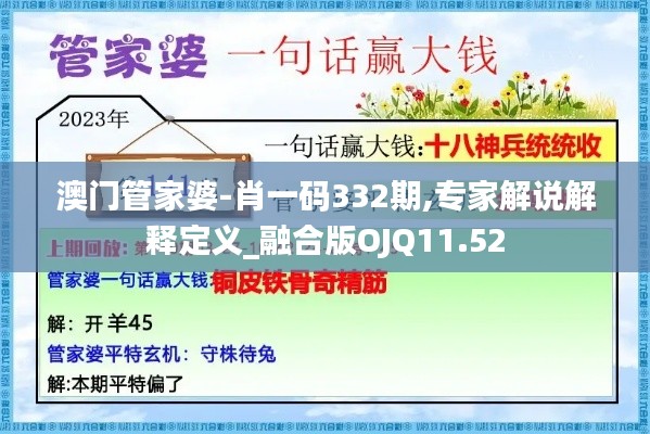 澳门管家婆-肖一码332期,专家解说解释定义_融合版OJQ11.52