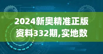 2024新奥精准正版资料332期,实地数据验证_DIY版WJV11.77