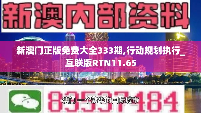 新澳门正版免费大全333期,行动规划执行_互联版RTN11.65