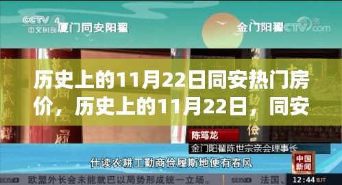 历史上的11月22日同安房价变迁，大数据之旅与智能科技重塑居住梦想