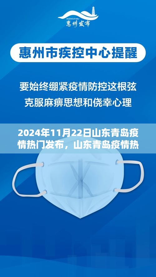 山东青岛疫情最新动态发布指南，掌握最新动态，助力防疫行动（2024年11月22日）